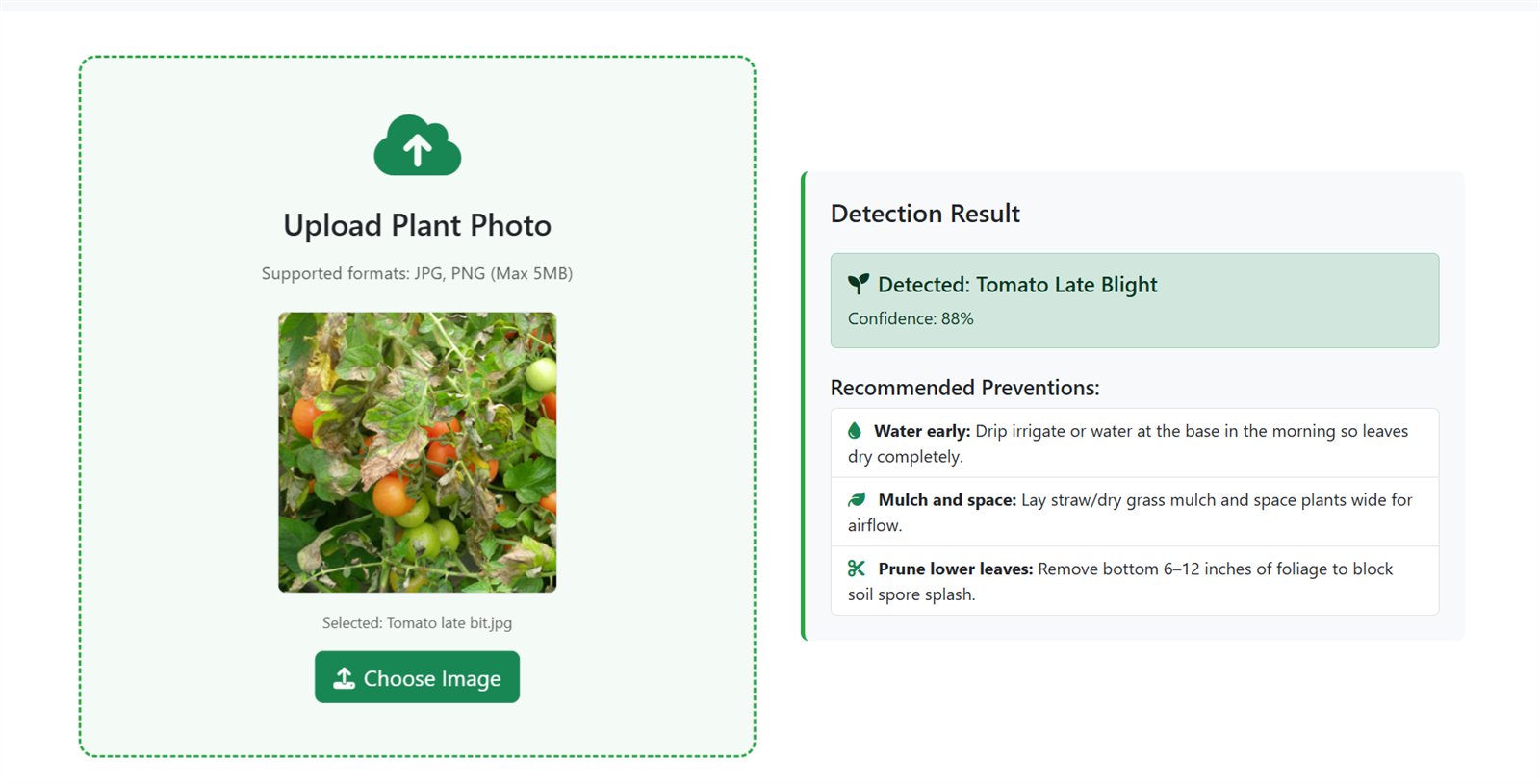 Upload interface beside a detection result panel showing Tomato Late Blight with 88 percent confidence and three prevention tips.